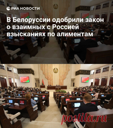 В Белоруссии одобрили закон о взаимных с Россией взысканиях по алиментам - РИА Новости, 06.05.2024