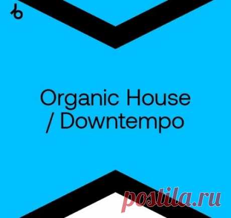 Beatport Best New Hype Organic House Top March 2024 free download mp3 music 320kbps