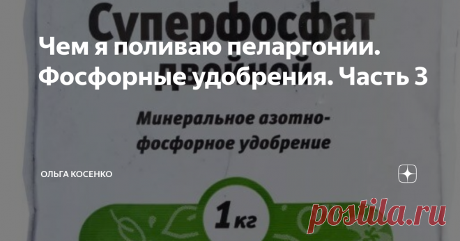 Чем я поливаю пеларгонии. Фосфорные удобрения. Часть 3 Продолжаю серию статей про минеральные удобрения, которыми пользуюсь при выращивании коллекции пеларгоний.
Фосфор - один из главных компонентов в жизни растений. Когда его не хватает, то растение резко замедляет рост, его листочки приобретают серо-зеленый или красно-фиолетовый оттенок, у растения слабая корневая система.
Представителями фосфорных удобрений являются простой суперфосфат (15-20%