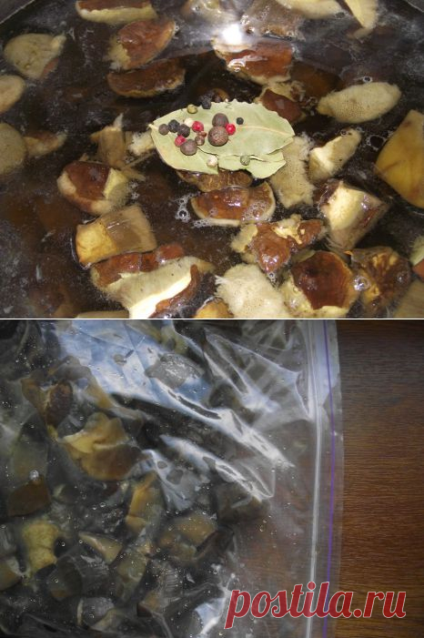 Заморозка грибов — как сохранить аромат отварных грибов. | Готовим душевно