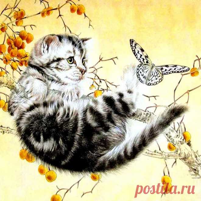 рисунок котенок и бабочка — Яндекс: нашлось 3 млн результатов