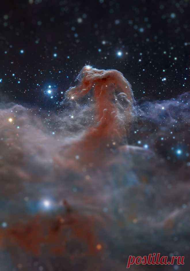 My view of the world â€” space-wallpapers: Horsehead nebula Tilt Shift ...