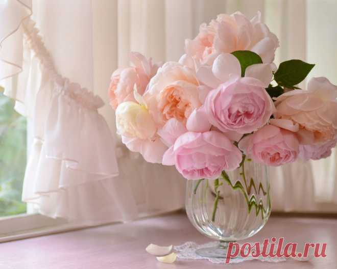 Скачать обои розовый, букет, окно, розы, раздел цветы в разрешении 1280x1024