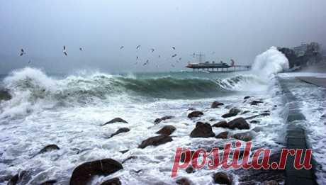 Системы предупреждения о цунами разместят на побережье Охотского и Черного морей | Земля - Хроники жизни