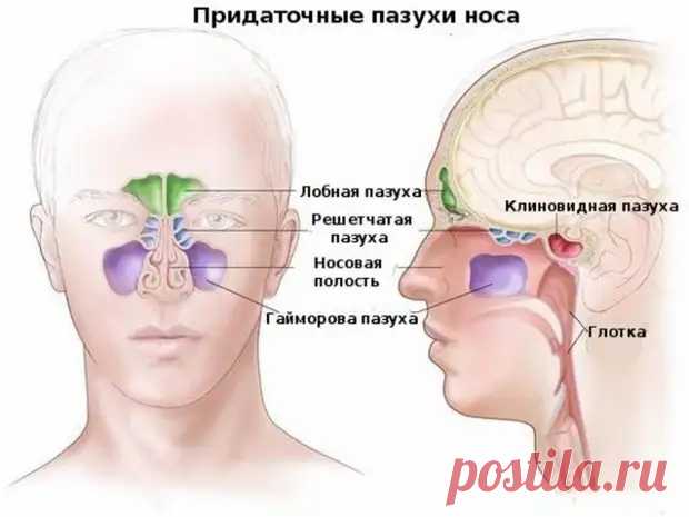 (99+) Как избавиться от заложенности носа без лекарств - Народная медицина - 19 января - 43845160378 - Медиаплатформа МирТесен