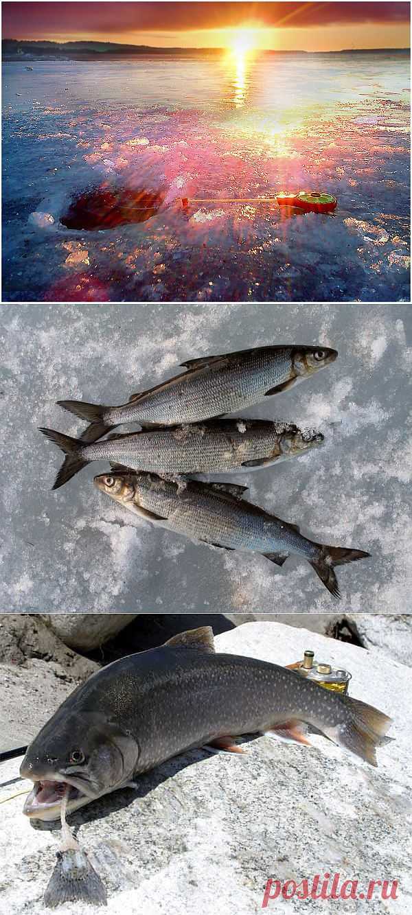В мире идей - Рыбалка-активный отдых в Финляндии