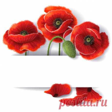 Beautiful red flower with paper background vector - Vector Background, Vector Flower