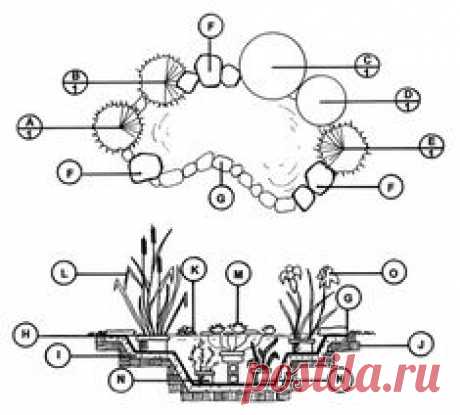 Water Garden - Downloadable Landscape Plans – Sheridan Nurseries