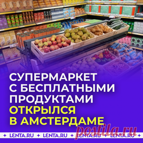 Супермаркет с бесплатными продуктами открылся в Амстердаме. Конечно же… | Lenta.ru | Дзен