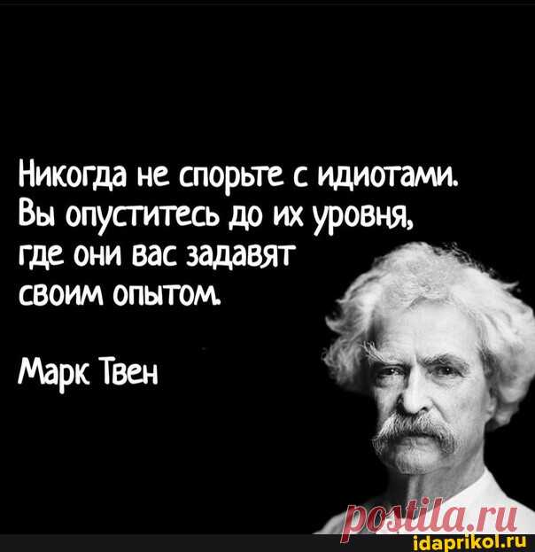 Никогда не спорьте с идиотами. Вы опуститесь до их уровня, где они вас задавят СВОИМ опытом, Марк Твен - АйДаПрикол