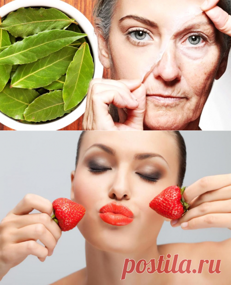 Натуральные средства против старения кожи - рецепты простых масок » Женский Мир
