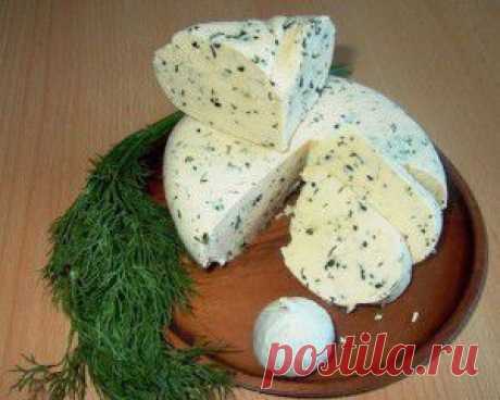 Сыр домашний с зеленью | vkusnyymir
