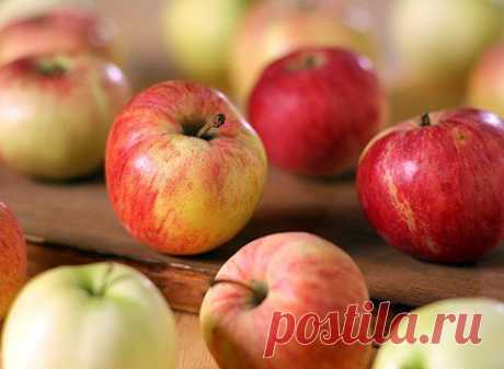 Рецепты из яблок: моченые, яблочное варенье, компот, сок