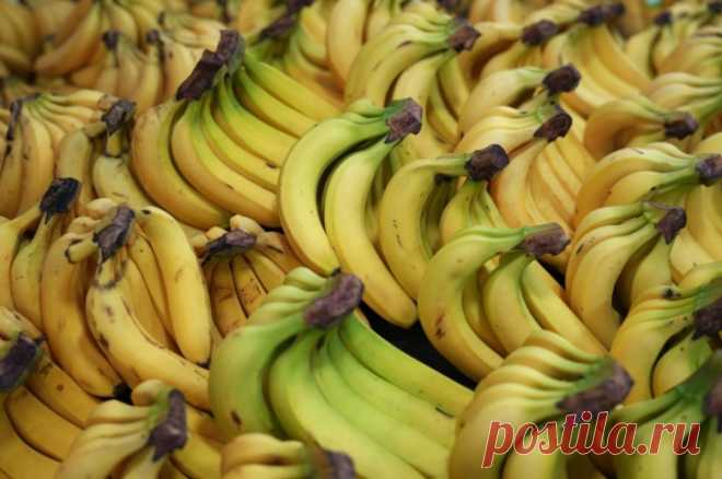 Бананы по 300 рублей. Как кризис в Эквадоре может отразиться на ценах в РФ. Эквадор заинтересован в сохранении экспорта бананов, а у России есть альтернативные поставщики.
