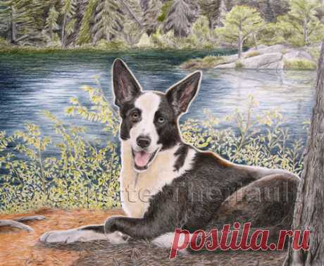 Хаски/бордер-колли смешанный рисунок собаки-портреты домашних животных рисунок на заказ графитовым карандашом портреты домашних животных-памятный подарок питомцу