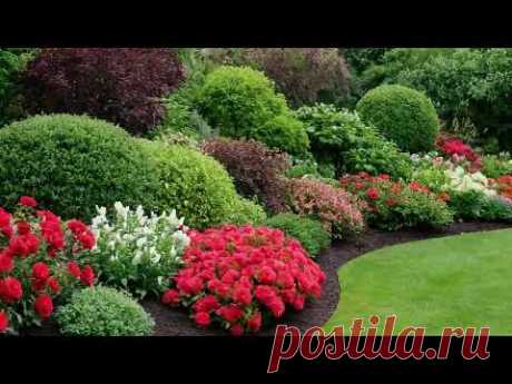 Garden design of flower beds. Ідеальне місце для творчості