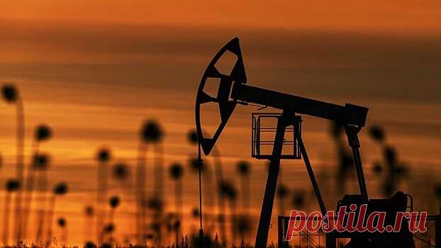 Россия получит право разработки нефтяных проектов во Вьетнаме | Pinreg.Ru