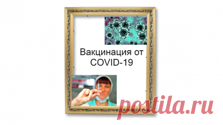 Когда начнут делать прививку от COVID-19 | Жизнь и кошелек | Яндекс Дзен