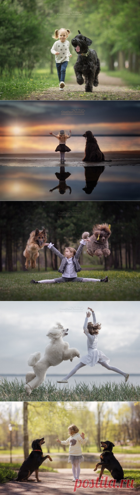Эти фотографии вызывают умиление и улыбку!!! Детишки с собаками от Андрея Селиверстова | Фотоискусство