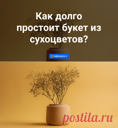 Как долго простоит букет из сухоцветов? - ВФокусе Mail.ru