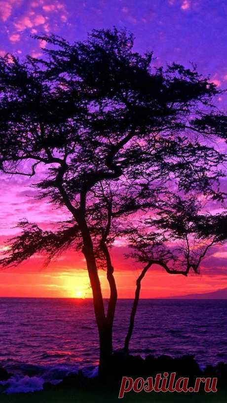 Sunset, Maui, Hawaii | Travels of Dale &amp; Bivian Hale - Pine Bluff, Ar…| Pinterest