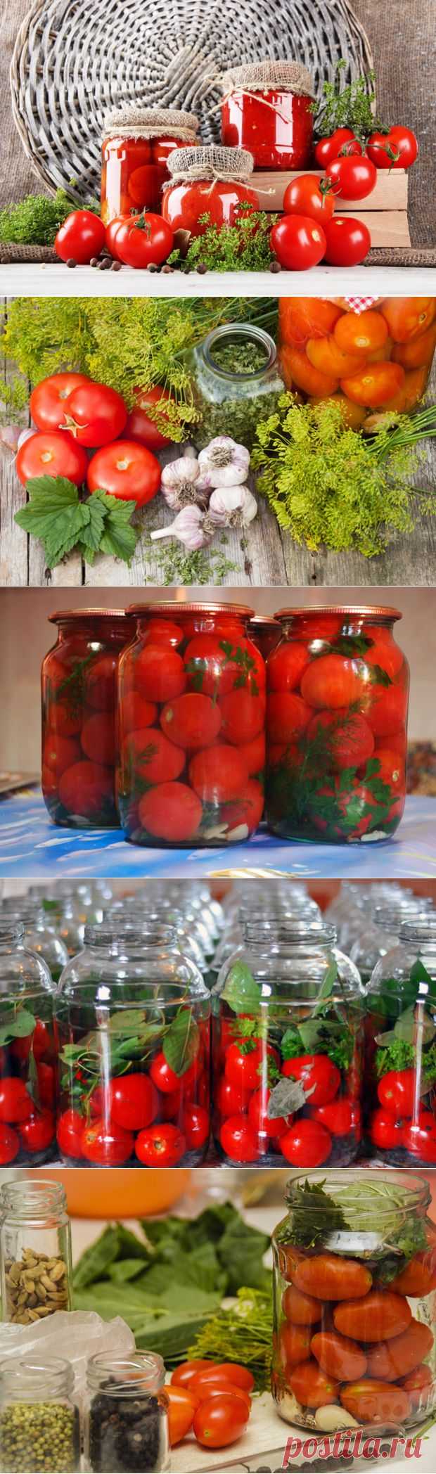 Как быстро и вкусно законсервировать помидоры | Интересные рецепты