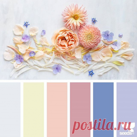 today's inspiration image for { flora hues } is by @c_colli ... Cristina has been wonderfully generous with sharing her work as inspiration for Design Seeds ever since I started the SeedsColor hashtag ~ her brilliance is no secret to us ~ well, the world recently got an eyeful when @instagram just the other week featured her ~ click on over and see her gorgeous interpretation of the new logo that earned her nearly a million likes ... thank you, Cristina, for another incred...