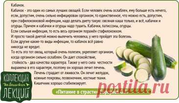 Кабачок