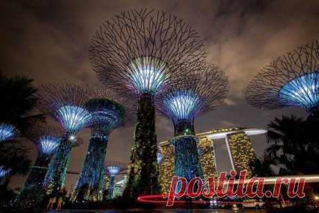 Сингапур. Комплекс Gardens by the Bay (Прибрежные сады) претендует на звание самого богатого ботанического сада в мире. / Экстремальный досуг