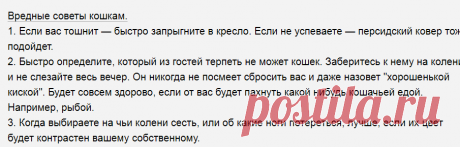 Выпуск №6656 - выпуск анекдотов сайта вокруг смеха