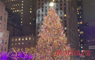 В Нью-Йорке у Рокфеллер-центра зажгли главную рождественскую ель. На площади также прошел концерт, в котором участвовали Шер, Барри Манилоу, Хлоя Бейли, Кеке Палмер и другие исполнители