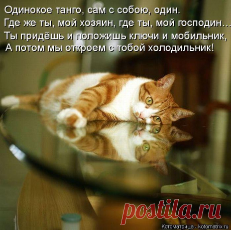м
