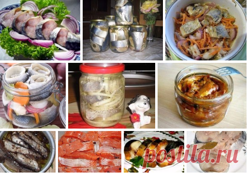 25 вкуснейших рецептов из рыбы