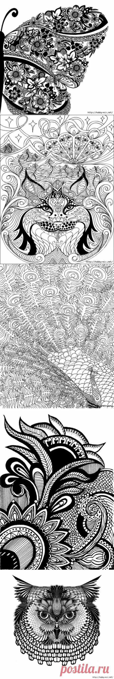 Zentangle &amp; Doodling .