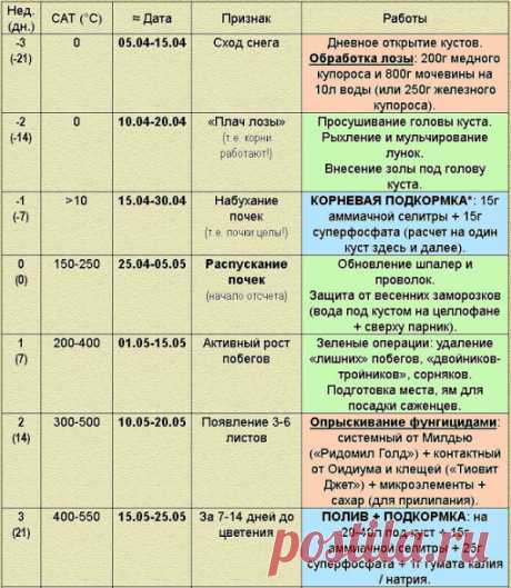 Собираетесь защитить виноград от болезней и вредителей- тогда этот сборник специально для Вас!
&quot;Топ 7 схем про защиту винограда за 2017 год&quot; - самые популярные схемы, самые востребованные виноградарями России. 
Сохраните к себе на стену, чтобы не потерять!
Дата выхода: 12.02.2018