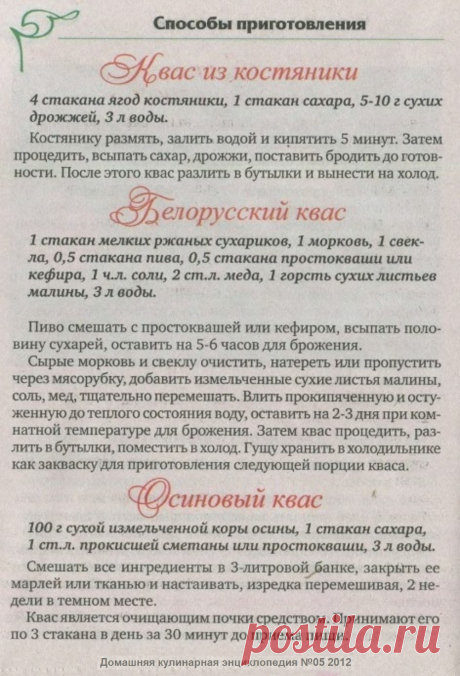 Квас из костяники. Белорусский квас. Осиновый квас