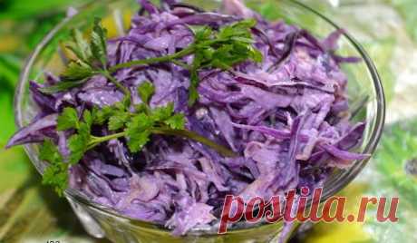 Салат с краснокочанной капустой и сельдереем » Жрать.ру