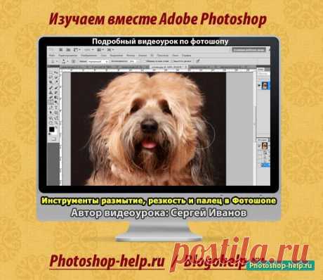 Инструменты размытие, резкость и палец в фотошопе. Видеоурок » Уроки фотошопа - Все для Adobe Photoshop / Photoshop-help.ru