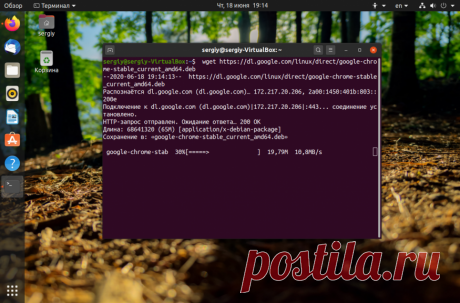 Установка Chrome в Ubuntu 20.04 | Losst