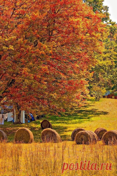 Autumn In West Virginia by Steve Harrington, Fine Art America (via Pin by Leslie on Autumn) | Lori Rich приколол(а) это к доске falling for autumn