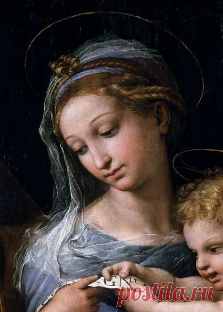 Raffaello Sanzio (Raphael) - Madonna della Rosa (Detail) (1518 - 1520) - Beautiful | Mirjana Sandor приколол(а) это к доске Raphael (Raffaello Sanzio da U…