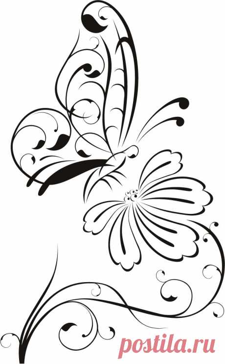 Flower Outline Drawings | Butterfly on Flower Outline Floral Wall Decal Wall Stickers Transfers