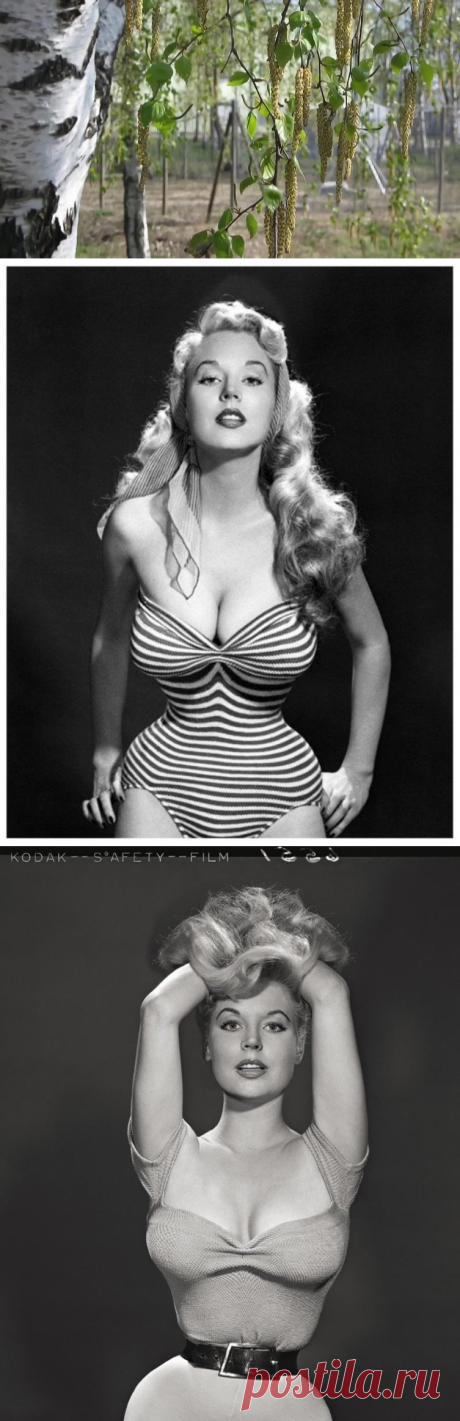 Бетти Бросмер — первая красавица 50-х годов, звезда обложек и прообраз девушек пин-ап. Выиграла ...