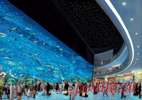 В Дубае расположен один из самых больших аквариумов на планете, объем которого 10 миллионов литров.