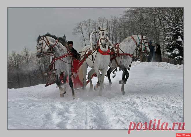 Расфокус новые фото