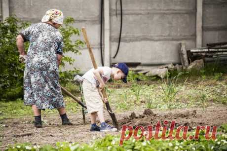 фото бабушка с флагом и мальчик маленький: 2 тыс изображений найдено в Яндекс.Картинках