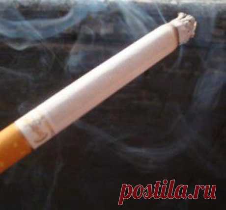Вред от курения, последствия курения | vita-jizn.net
Вред от курения есть, мы это слышим с детства. В составе табачного дыма 9 сильных ядов, которые приводят к раку, выкидышам, ишемии, эмфиземе легких…