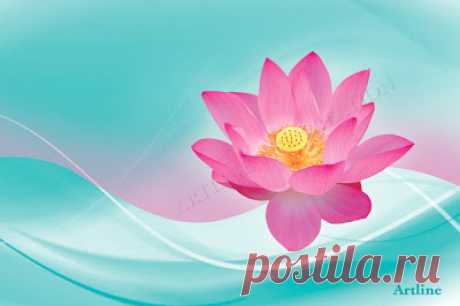 Artline : Feel The Creation!: High Quality HD Flower Wallpaper : Pink Lotus