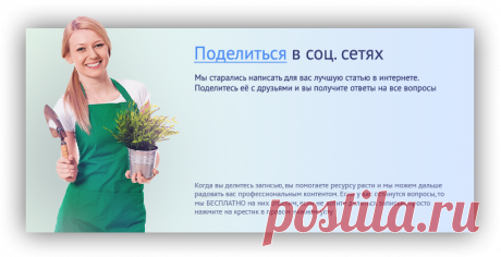 Как правильно сажать помидоры в теплицу | parnik-teplitsa.ru