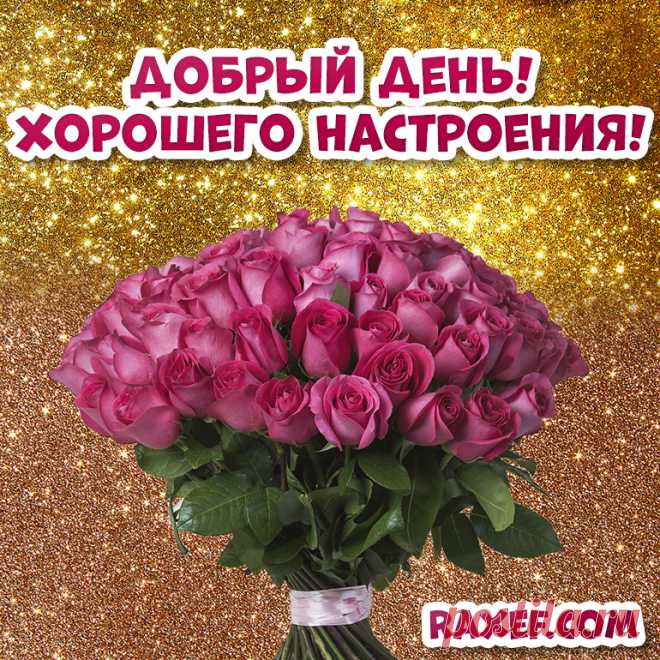 Доброго дня и хорошего настроения! Открытки женщине! Картинки с розами, с цветами! В этом мире есть сотни и тысячи языков, но есть...  И это не только язык любви, не только - 